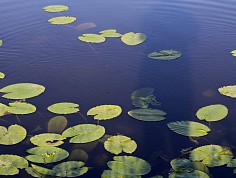 melkes_zpr1217_013.jpg
