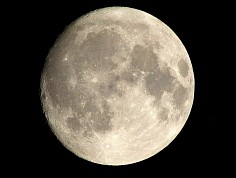 dufek_zpr0118_06.jpg