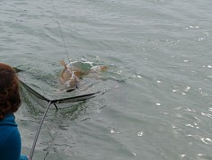 nedelka_cl18_0027.jpg
