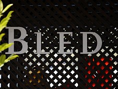 nedelka_bled_016.jpg