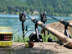 nedelka_bled_031.jpg