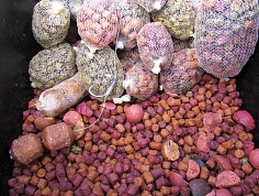 dufekj_zpr18052_01.jpg
