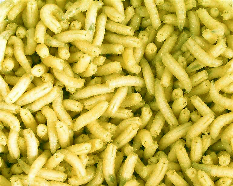 Larva fluo l (1L=600gr.)