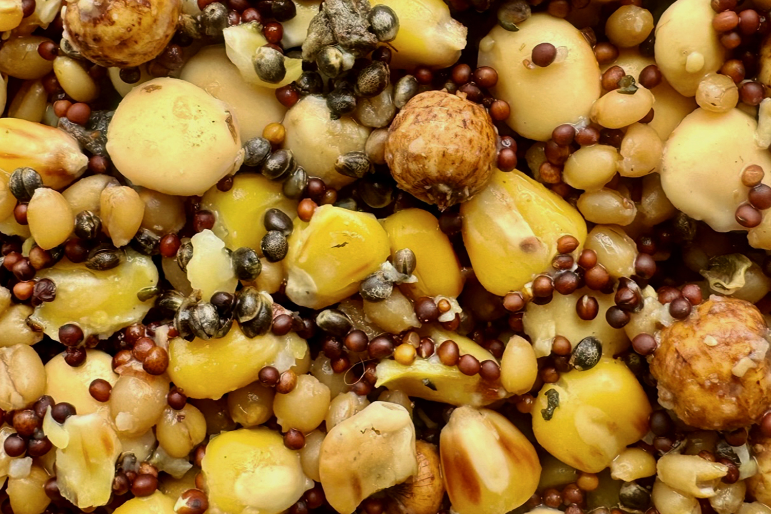 Partikl Mivardi Rapid Mix Premium 2,5kg