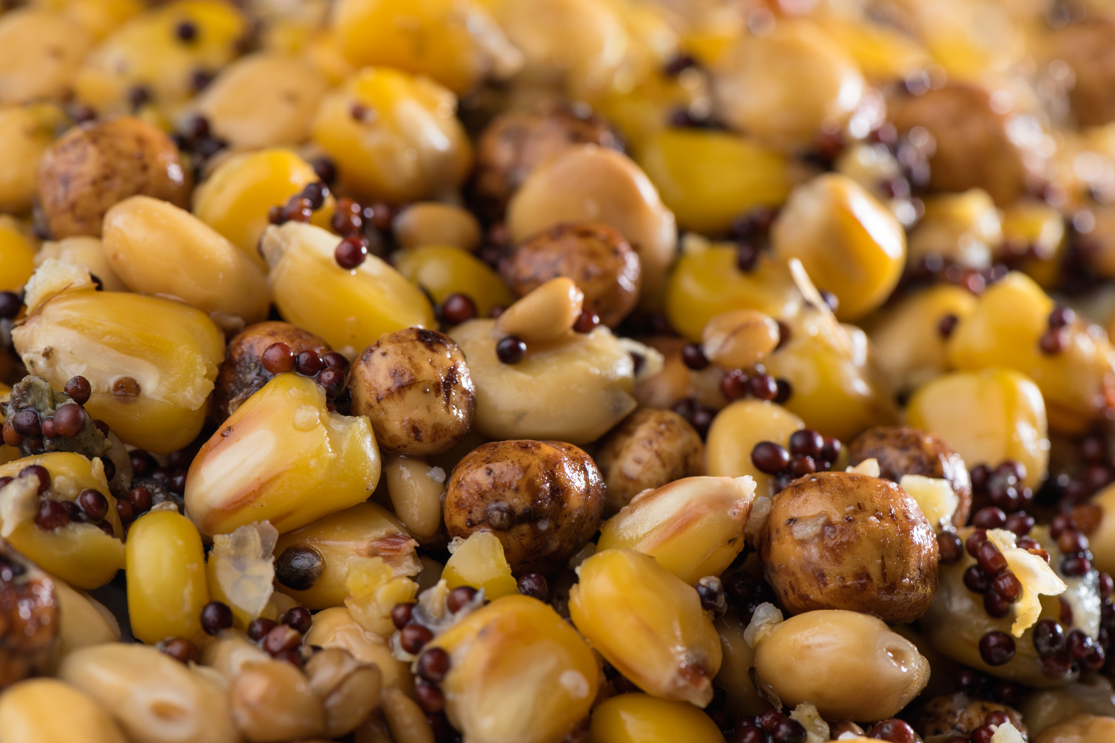 MIVARDI Partikl mix premium 2,5kg