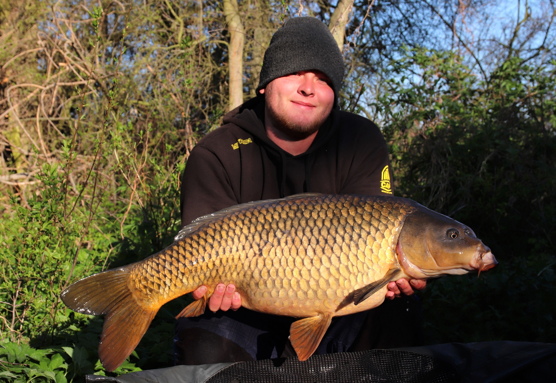 Rapid Boilies Easy Catch - Anglická jahoda (950g | 20mm)