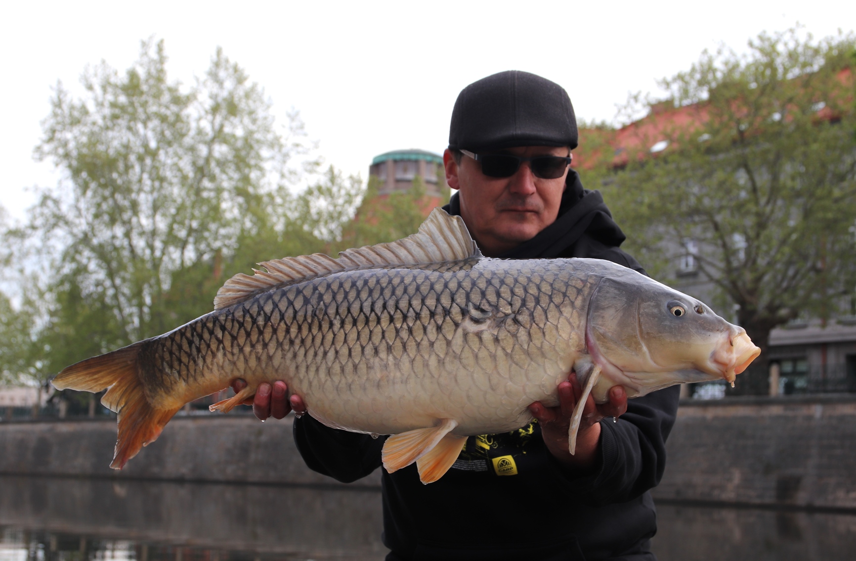 Rapid Boilies Easy Catch - Ananas + N.BA. (950g | 16mm)